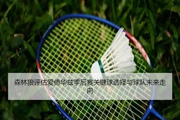 森林狼评估爱德华兹季后赛关键球选择与球队未来走向（kaiyun）